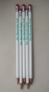 War Memorials Trust branded pencils