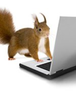 Cleversquirrel logo  2