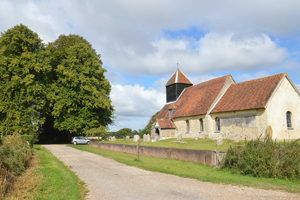 Farley Chamberlayne Avenue of Limes trees cChisholm, 2014