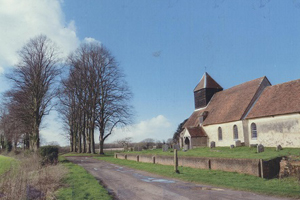 Farley Chamberlayne Avenue of Limes trees cChisholm, 2014