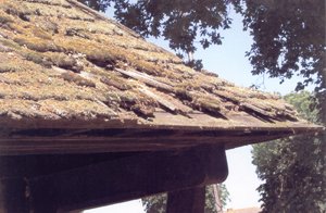 Kennington shelter &copy; Kennington Community Forum, 2009